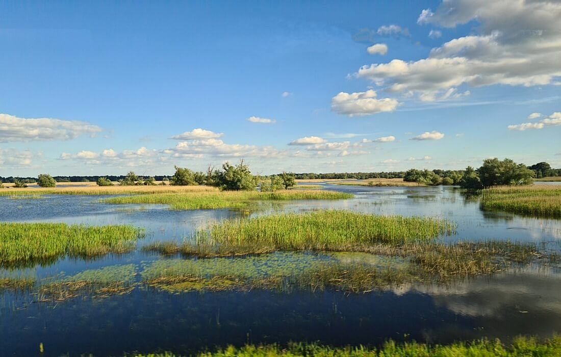 Kopacki Rit Nature Park, Croatia - Home to wild birds and animals